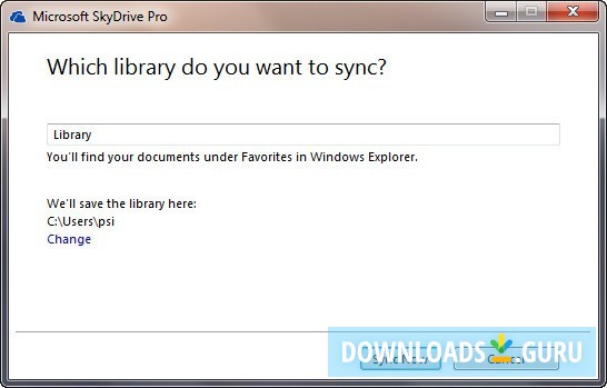 Microsoft SkyDrive Pro 2013