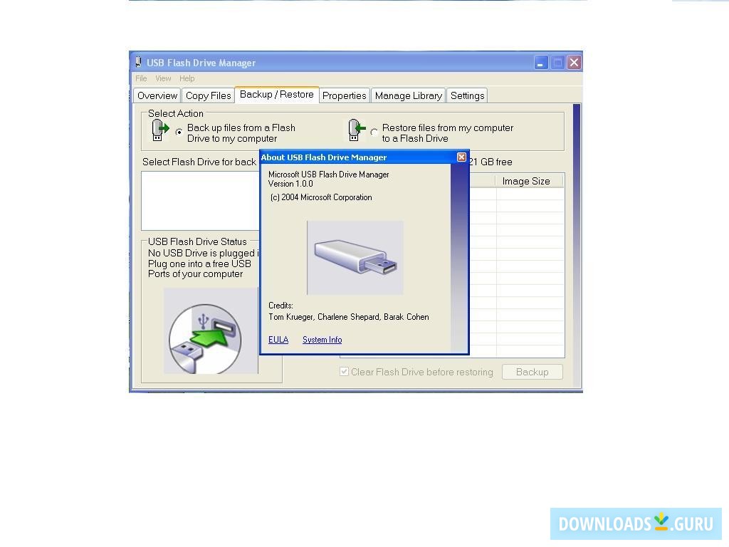 USB Drive Letter Manager 5.5.8.1 free downloads
