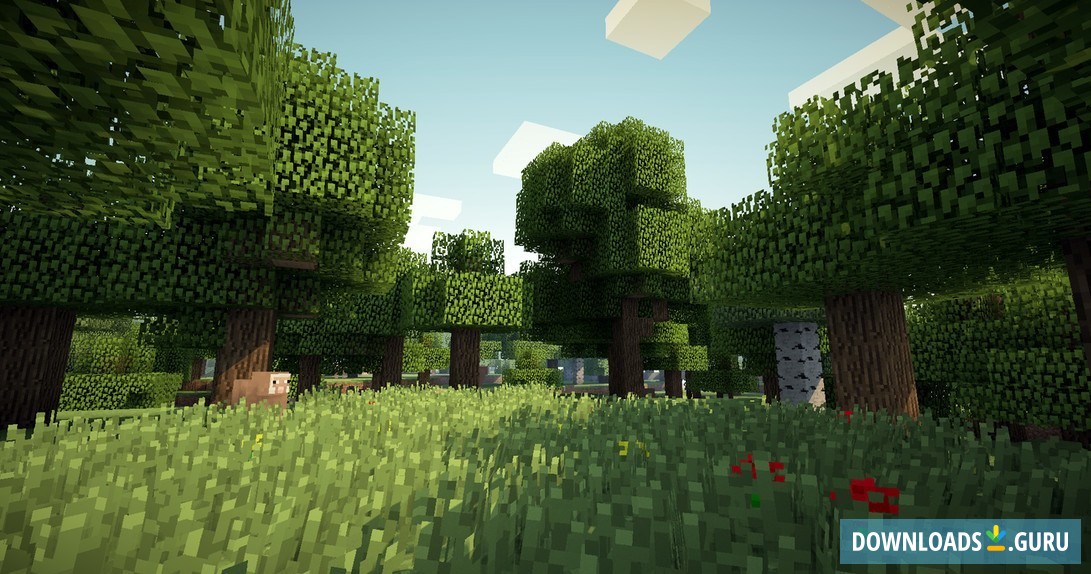 Minecraft - Ultra Realista