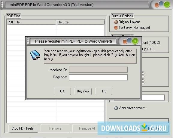 Mini PDF To Word Converter