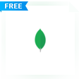 MongoDB Compass