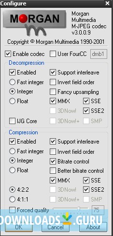 Morgan Multimedia Motion JPEG Codec