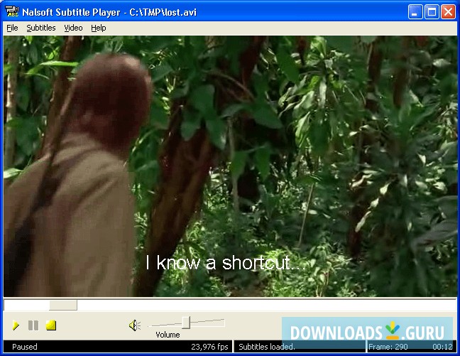 Enjoying Your Subtitled Videos