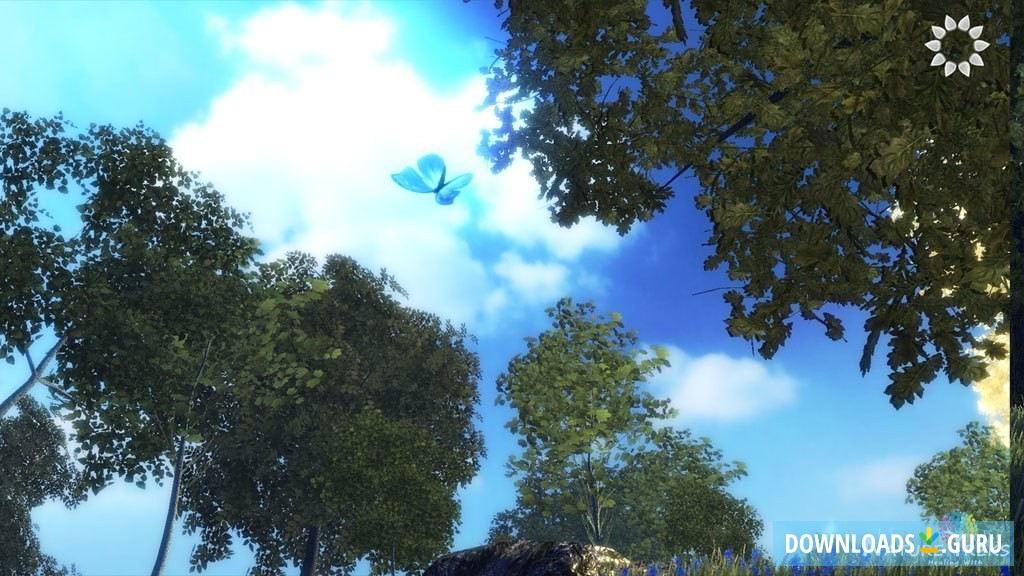 NatureTreks Healing With Color