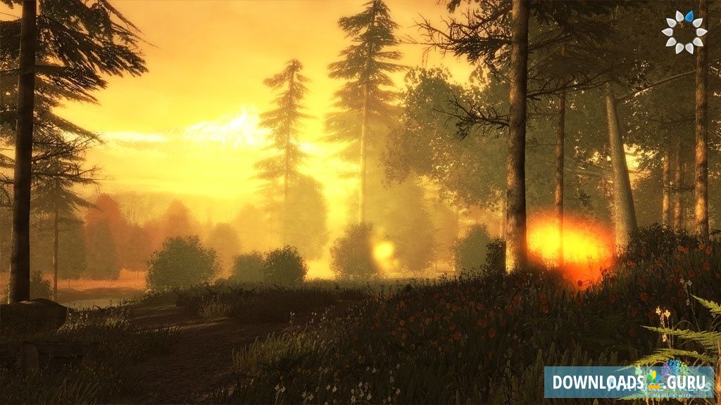 NatureTreks Healing With Color