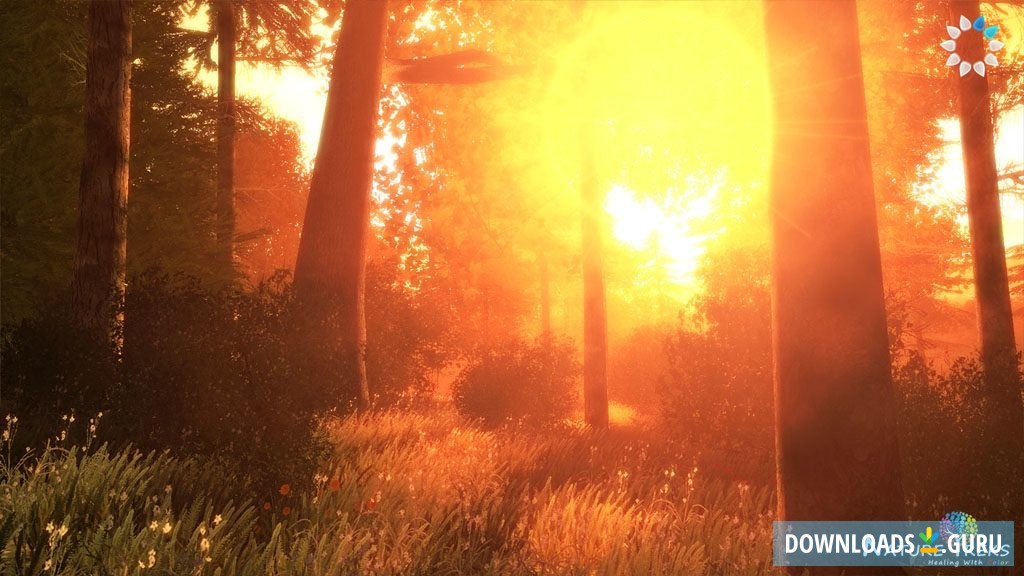  color themed environment 7