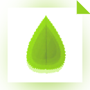 NatureTreks Healing With Color