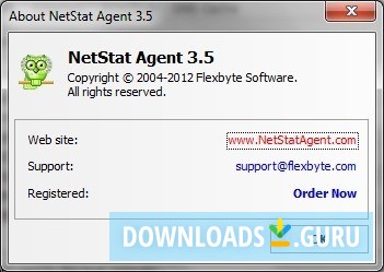 NetStat Agent