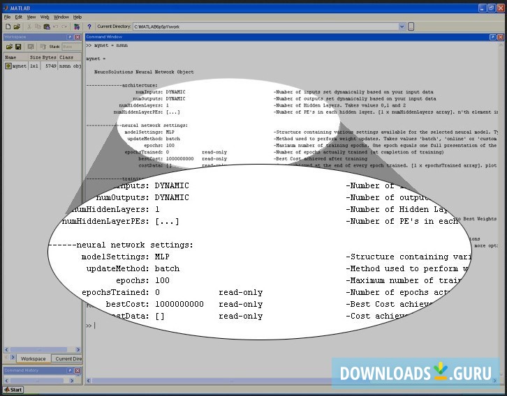 NeuroSolutions for MATLAB
