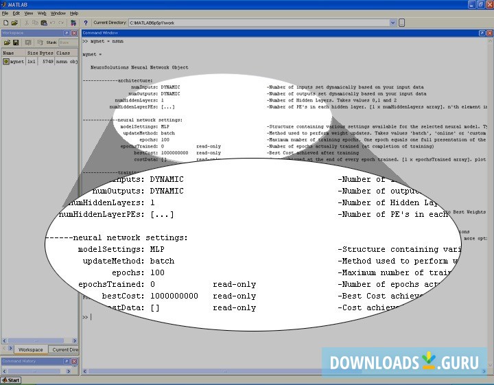 NeuroSolutions for MATLAB