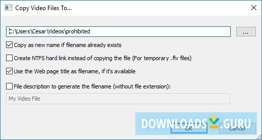 NirSoft VideoCacheView
