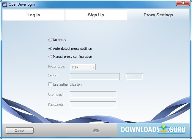 Proxy Settings Window