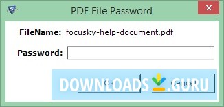 PDF File Password