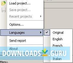Multilingual support