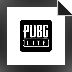 Download PUBG Lite