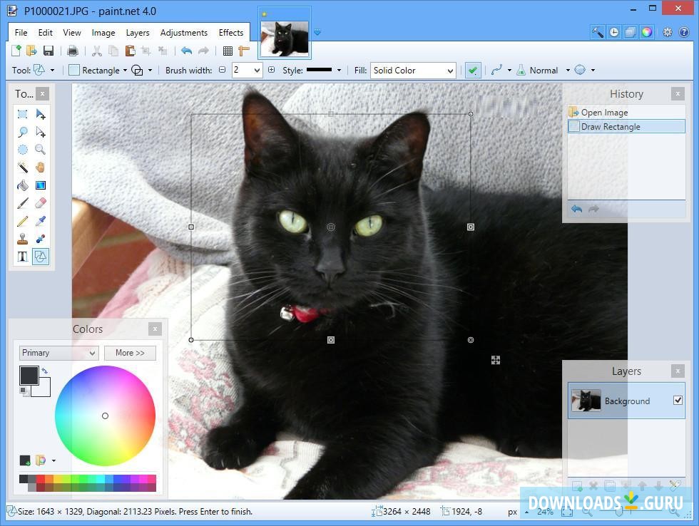 Paint.NET 5.0.7 download the new version for windows