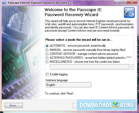 Passcape Internet Explorer Password Recovery 3.4 Main Window
