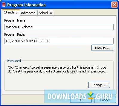 Program information window