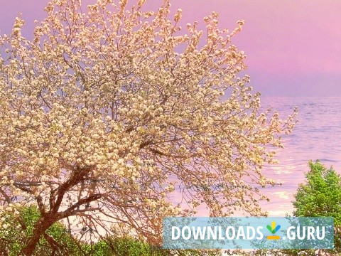 Path to Tao screensaver