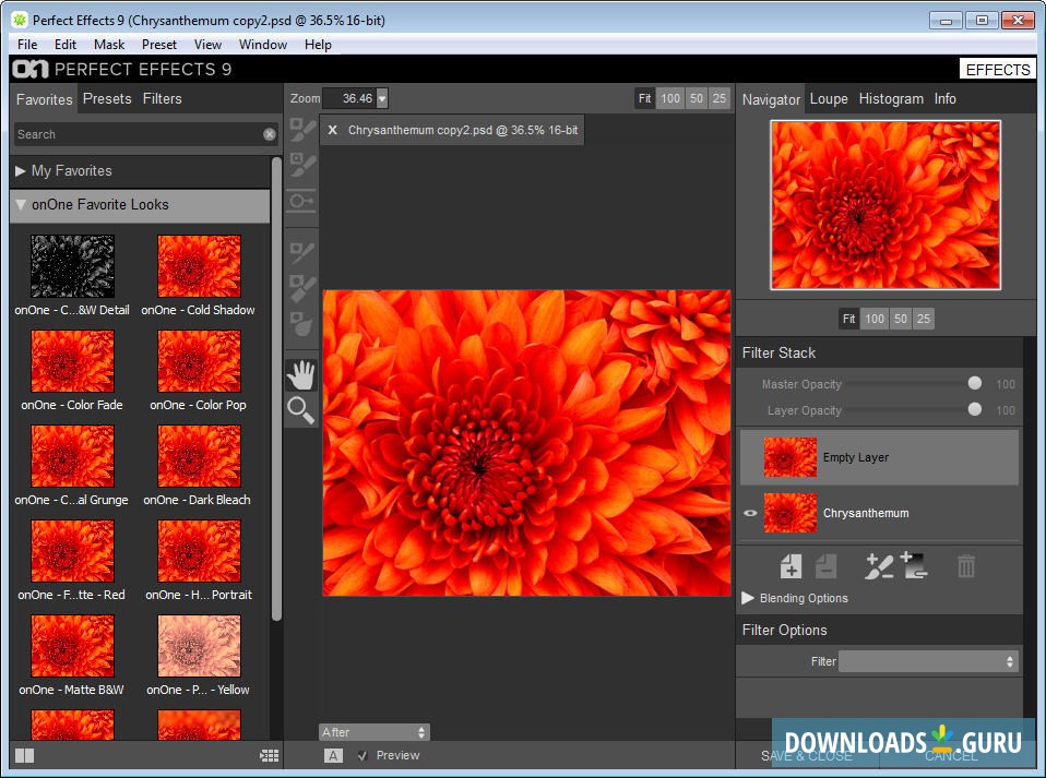 Main Interface