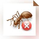 Pest Control Service