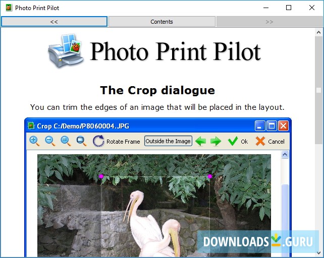 Photo Print Pilot