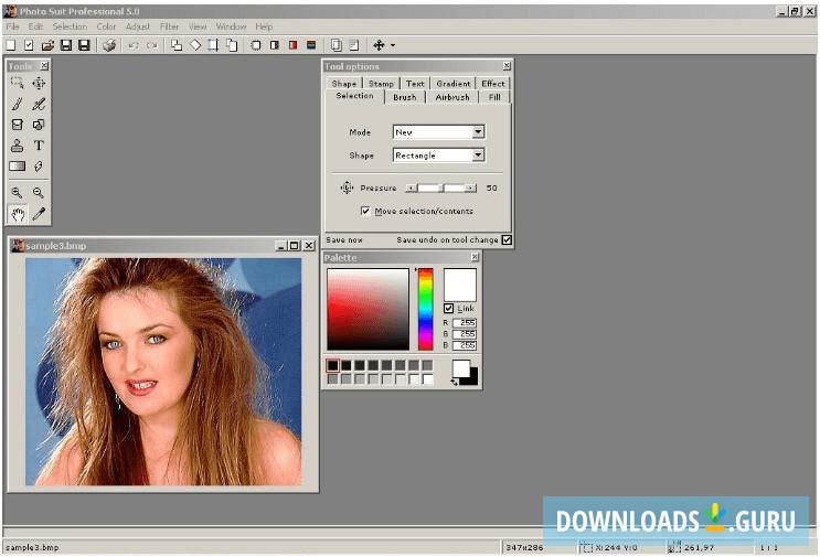 Photo-Suit Professional
