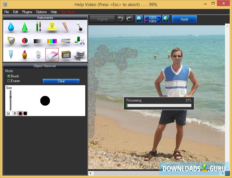 Object Removal Instrument