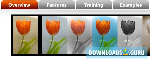 PhotoPresets Wow Effects for Lightroom
