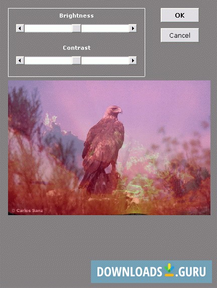 Brightness and contrast controls
