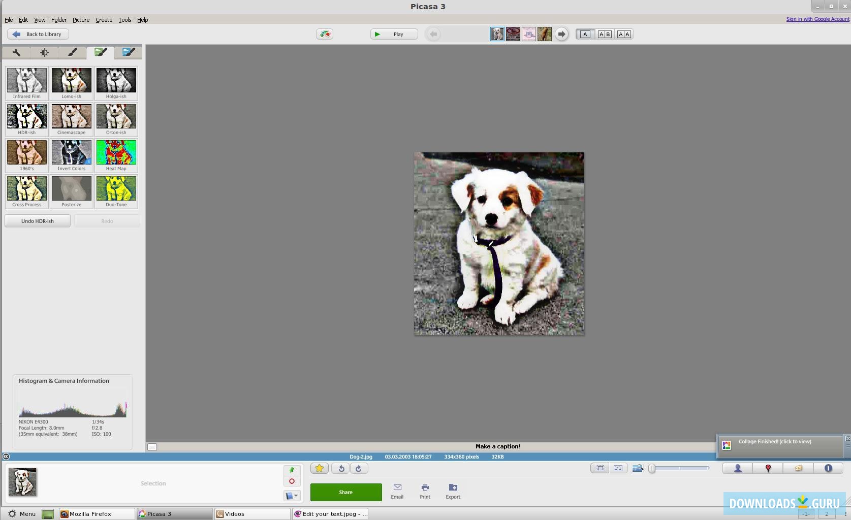 picasa software download for windows 10