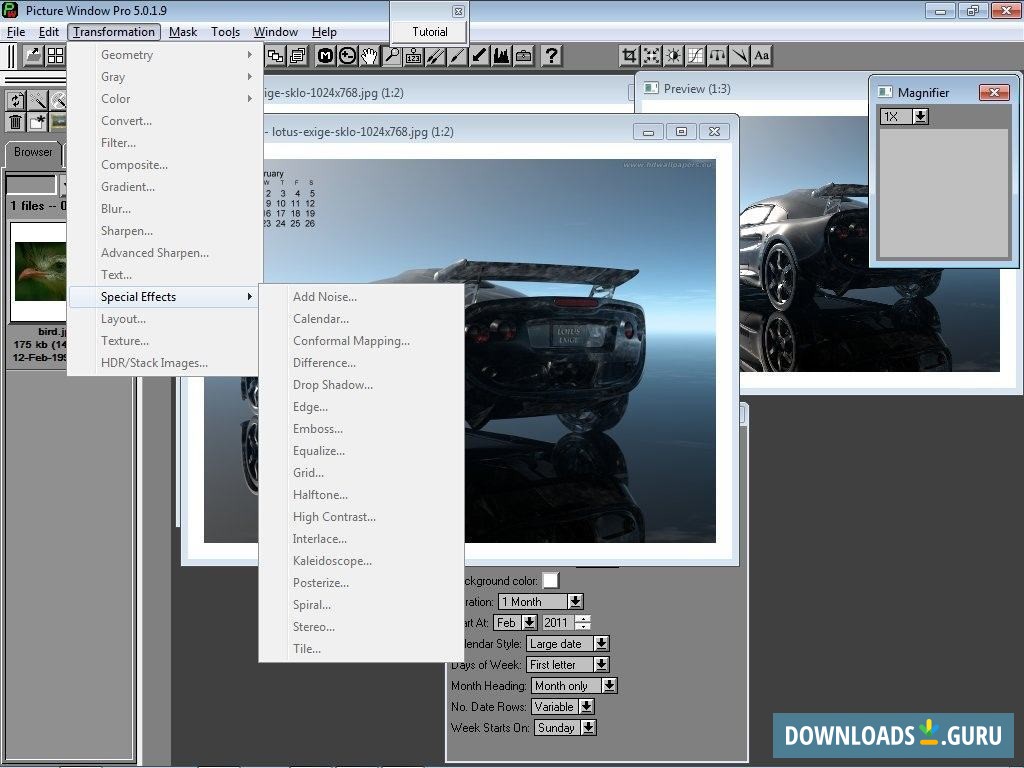 Picture Window Pro