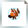 Pixel Studio