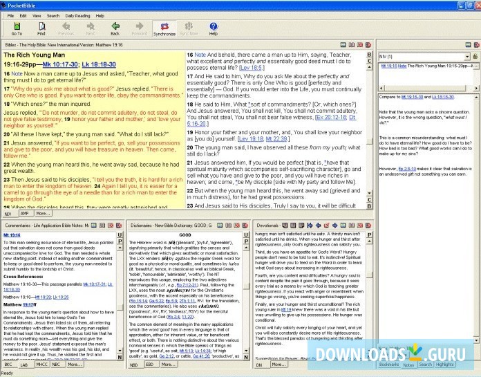 PocketBible New Bible Dictionary (NBD)