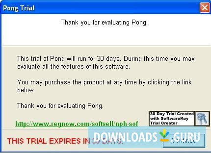 Pong