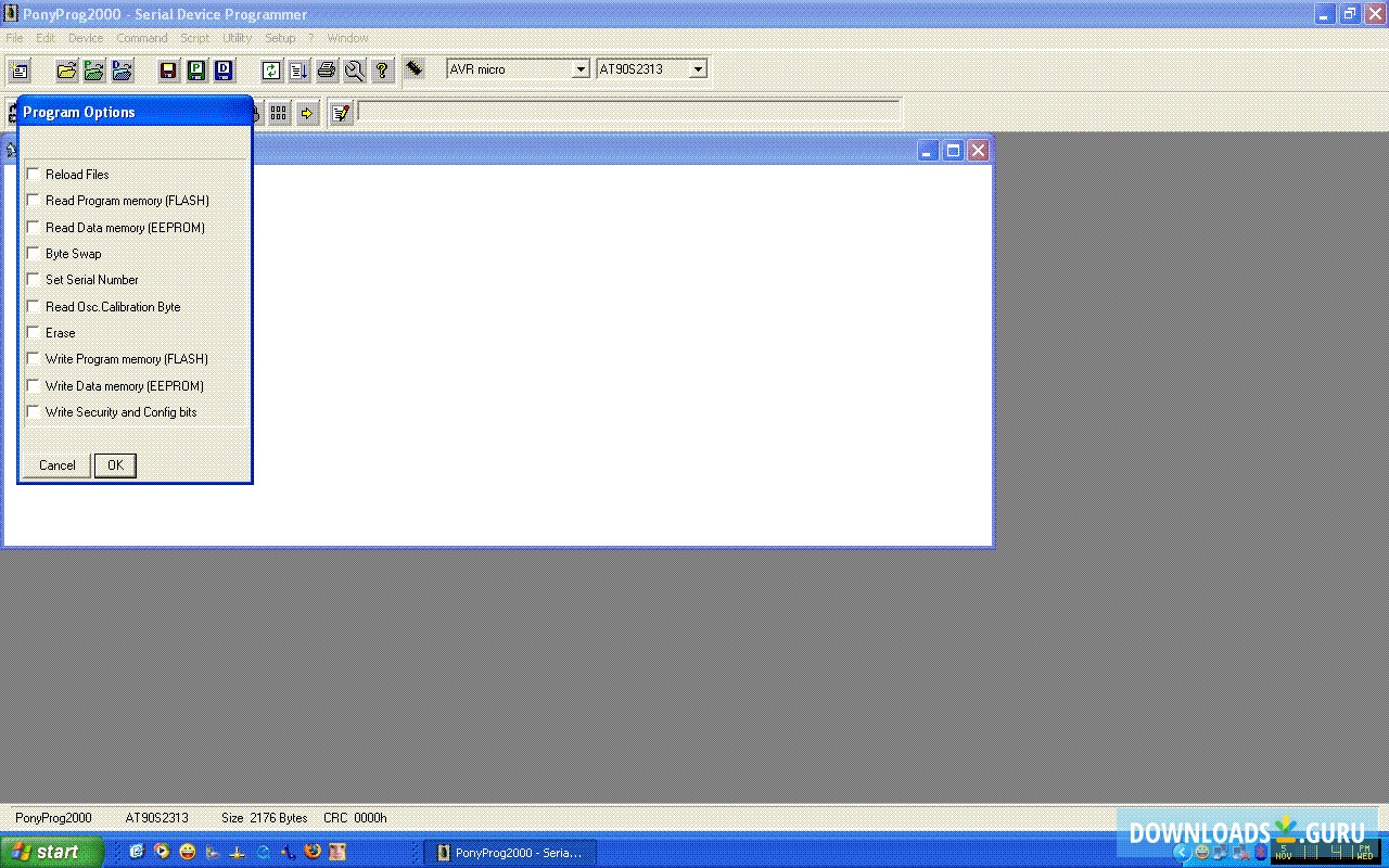 Using the program options