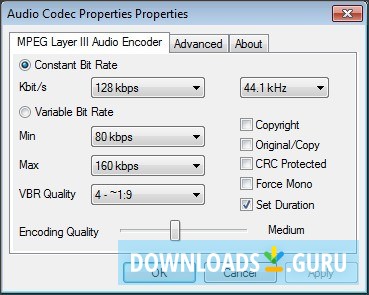 Specific Audio Codec Properties