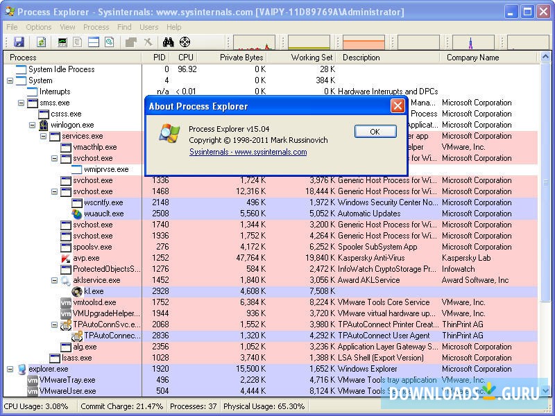 Process Explorer 17.05 download the new version for mac