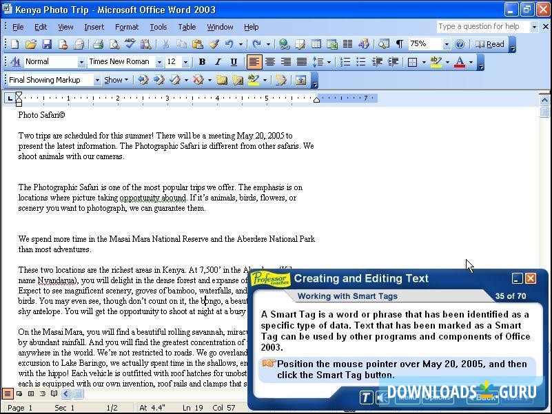 Professor Teaches Word 2003