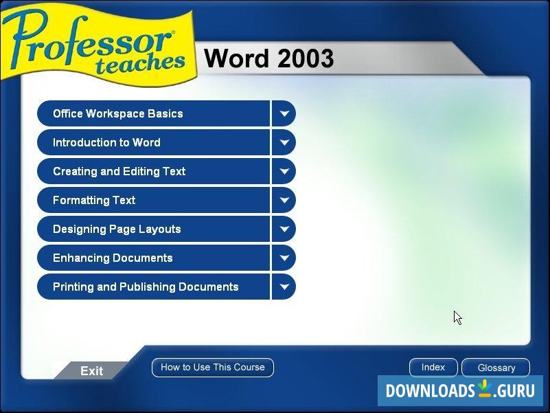 Professor Teaches Word 2003