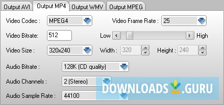 RM RMVB to AVI DIVX MP4 MPEG WMV Converter