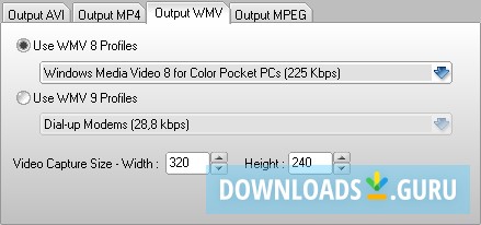 Output WMV Tab