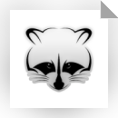 Raccoon Bot