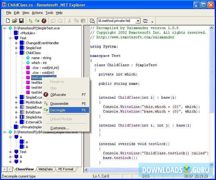 Remotesoft .NET Explorer