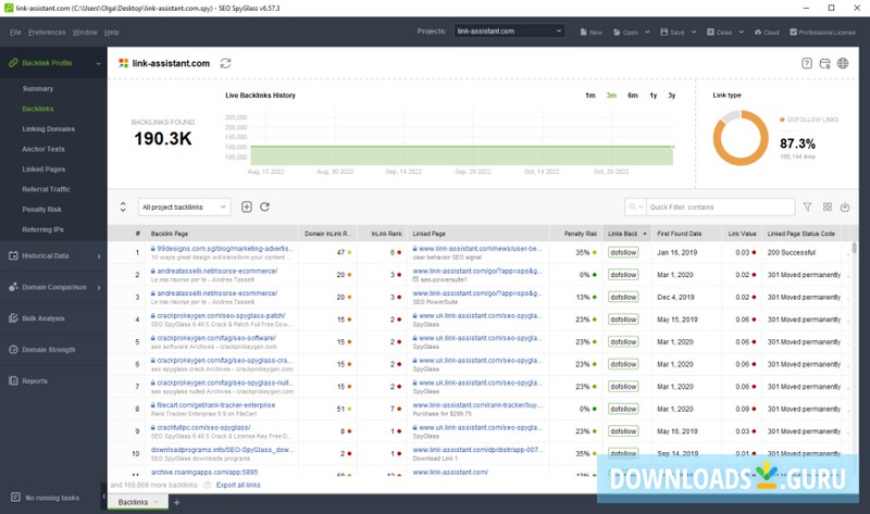 SEO SpyGlass Professional