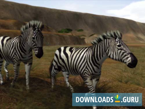 Safari Photo Africa - Wild Earth