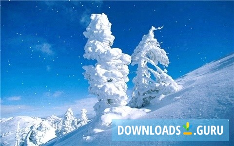 SaversPlanet Snowfall Screensaver