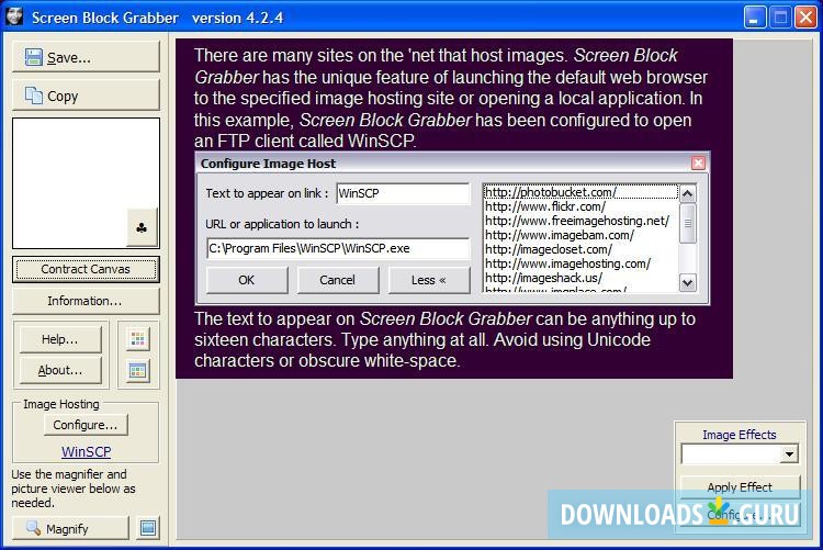Showing the Captured Screen