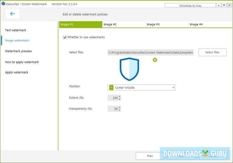 Screen Watermark For Business