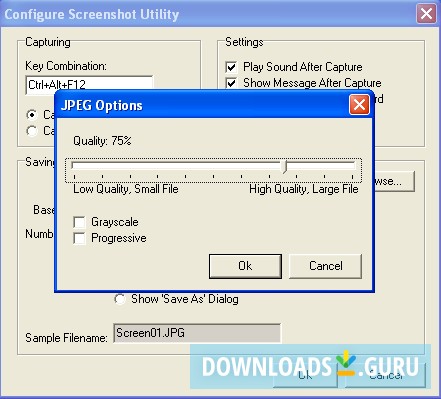 Screenshot Utility